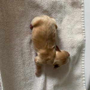 2-1-rotated-e1649351119310.jpg